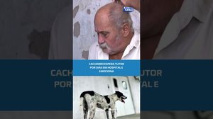 🐶Lealdade sem limites: cão aguarda tutor internado #BalançoGeralAL