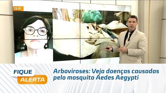 Arboviroses: Veja doenças causadas pelo mosquito Aedes Aegypti