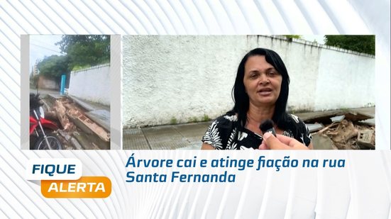 Árvore cai e atinge fiação na rua Santa Fernanda