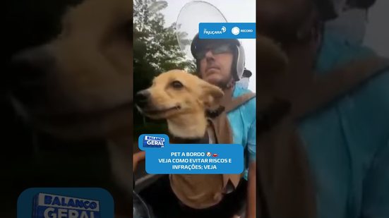 🐾 Pets no carro: saiba como transportar com segurança e dentro da lei #BalançoGeralAL