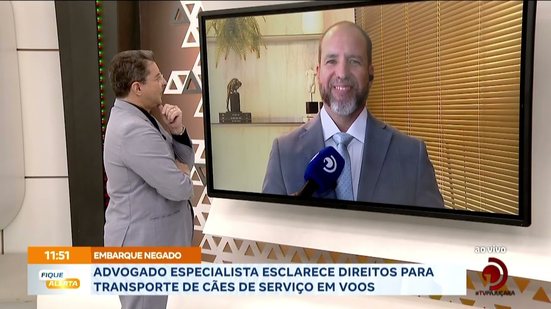 Advogado especialista esclarece direitos para transporte de cães de serviço em voos