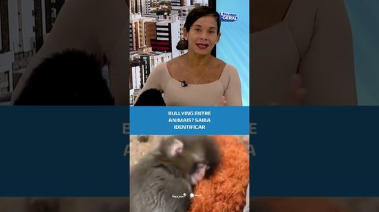 Seu pet pode estar sofrendo bullying, entenda como no #BalançoGeralAL