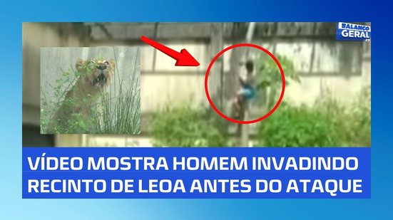 Homem morre após invadir recinto de leoa em zoológico de João Pessoa