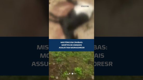 Mistério em Craíbas: mortes de animais assustam moradores #CidadeAL