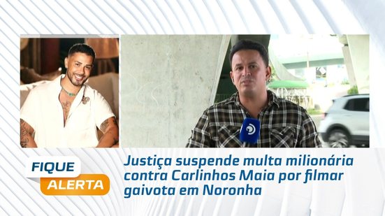 Justiça suspende multa milionária contra Carlinhos Maia por filmar gaivota em Noronha