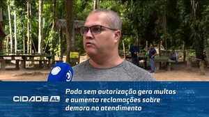 Poda sem autorização gera multas e aumenta reclamações sobre demora no atendimento