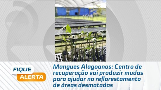 Centro de recuperação vai produzir mudas para ajudar no reflorestamento de áreas desmatada