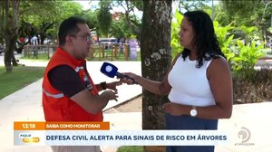 Defesa Civil alerta para sinais de risco em árvores