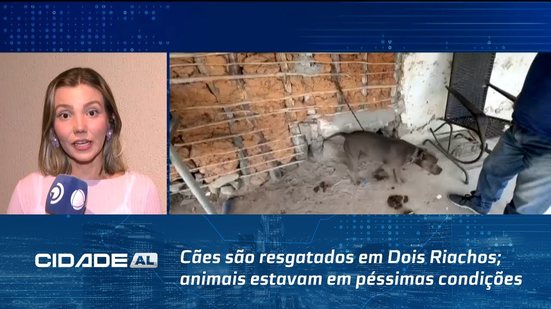 Maus Tratos: Cães são resgatados em Dois Riachos; animais estavam em péssimas condições