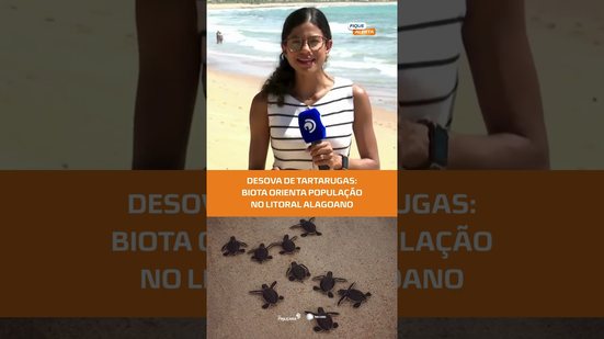 População deve redobrar cuidados com áreas de desova de tartarugas #FiqueAlerta