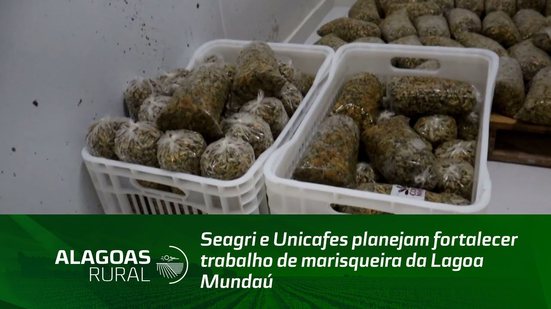 Seagri e Unicafes planejam fortalecer trabalho de marisqueira da Lagoa Mundaú