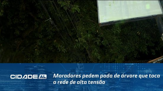 Moradores pedem poda de árvore que toca a rede de alta tensão de energia em Fernão Velho