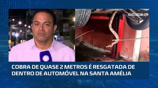 Jiboia de 2 metros é encontrada escondida em veículo em Maceió
