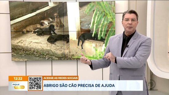 Falta ração, materiais de limpeza e, com a chegada do inverno, o espaço precisa de reformas