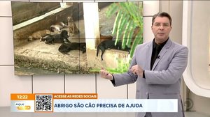Falta ração, materiais de limpeza e, com a chegada do inverno, o espaço precisa de reformas