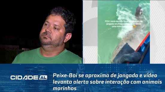 Peixe-Boi se aproxima de jangada e vídeo levanta alerta sobre interação com animais marinhos