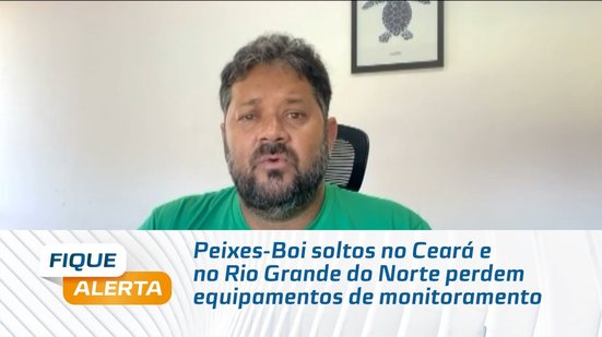 Peixes-Boi soltos no Ceará e no Rio Grande do Norte perdem equipamentos de monitoramento
