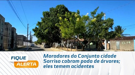 Moradores do Conjunto cidade Sorriso cobram poda de árvores; eles temem acidentes