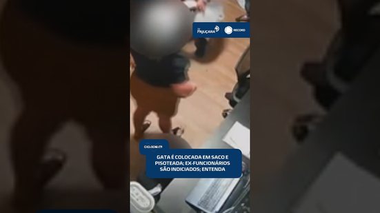 🐾 Caso de crueldade contra gata termina com indiciamento de ex-funcionários | #CidadeAL