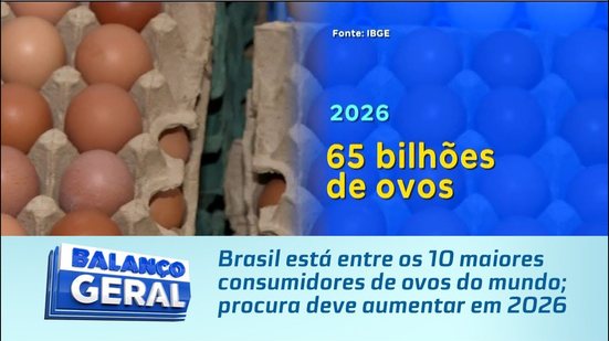 Brasil está entre os 10 maiores consumidores de ovos do mundo; procura deve aumentar em 2026