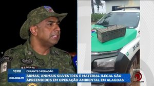 Armas, animais silvestres e material ilegal são apreendidos em operação ambiental em Alagoas
