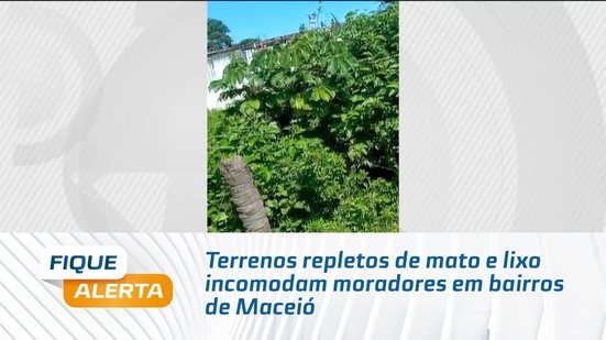 Terrenos repletos de mato e lixo incomodam moradores em bairros de Maceió