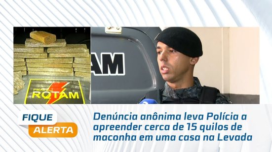 Denúncia anônima leva Polícia a apreender cerca de 15 quilos de maconha em uma casa na Levada