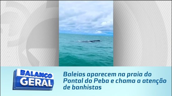Baleias aparecem na praia do Pontal do Peba e chama a atenção de banhistas