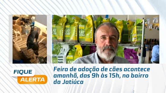 Feira de adoção de cães acontece amanhã, das 9h às 15h, no bairro da Jatiúca