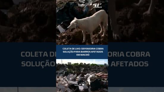 #CidadeAL | Defensoria Pública cobra providências da Alurb por problemas na coleta de lixo em Maceió