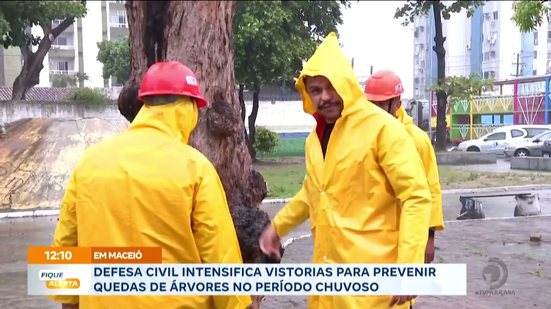 Defesa Civil intensifica vistorias para prevenir quedas de árvores no período chuvoso