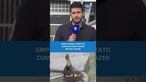 🚨 Gripe aviária: instituto faz alerta sobre perigo de contato com aves #BalançoGeralAL