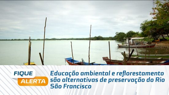 Educação ambiental e reflorestamento são alternativas de preservação do Rio São Francisco