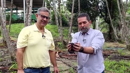 Açaí no Nordeste? Conheça a Fazenda em Alagoas que Desafia a Amazônia!