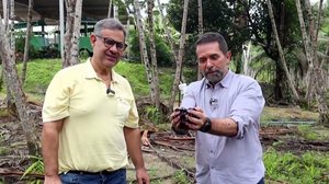 Açaí no Nordeste? Conheça a Fazenda em Alagoas que Desafia a Amazônia!