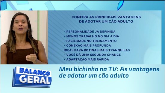 Meu bichinho na TV: As vantagens de adotar um cão adulto
