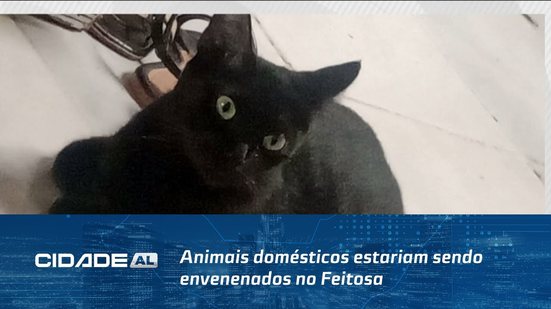 Mistério: Animais domésticos estariam sendo envenenados no Feitosa