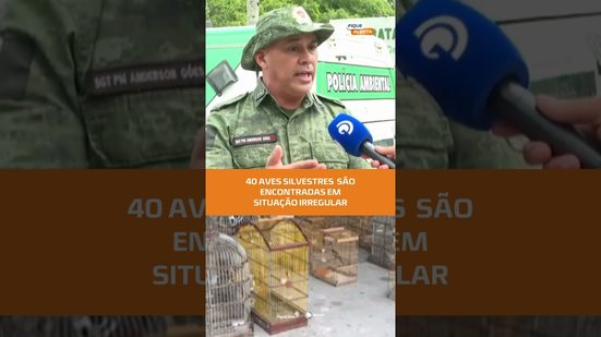 40 aves silvestres são apreendidas em operação ambiental, veja no #FiqueAlerta
