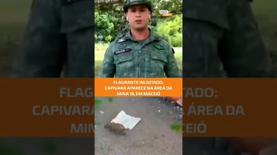 Vídeo mostra capivara circulando na região da Mina 18, no bairro do Mutange #FiqueAlerta