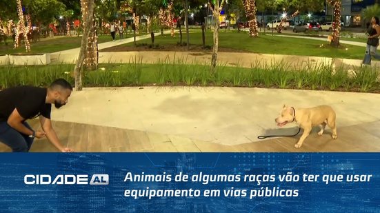 Animais de algumas raças vão ter que usar equipamento em vias públicas e condomínios