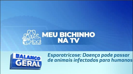 Esporotricose: Doença pode passar de animais infectados para humanos
