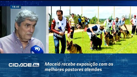 Entrada Gratuita: Maceió recebe exposição com os melhores pastores alemães