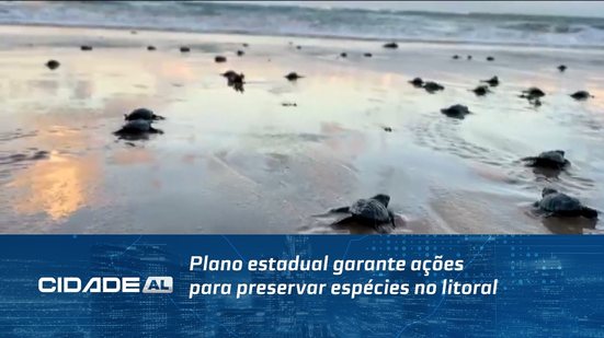Plano estadual garante ações para preservar espécies no litoral