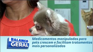 Medicamentos manipulados para pets crescem e facilitam tratamentos mais personalizados