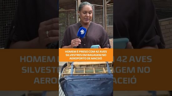 🦜 Homem é preso com 42 aves silvestres na bagagem no Aeroporto de Maceió  #fiquealerta