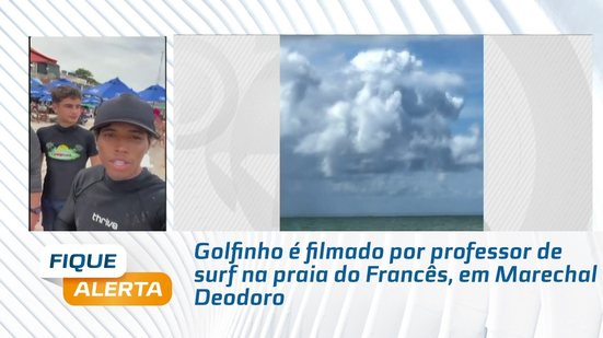 Golfinho é filmado por professor de surf na praia do Francês, em Marechal Deodoro