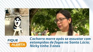 Cachorro morre após se assustar com estampidos de fogos na Santa Lúcia; Nicky tinha 3 anos