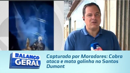 Capturada por Moradores: Cobra ataca e mata galinha no Santos Dumont