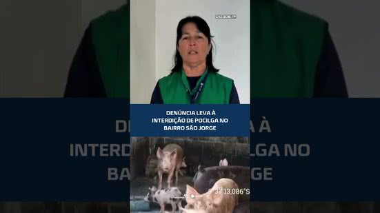 🐖Moradores denunciam e pocilga acaba interditada no São Jorge #CidadeAL