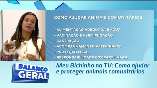 Meu Bichinho na TV: Como ajudar e proteger animais comunitários